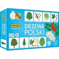 Gra Memory - Drzewa Polski