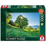 PQ Puzzle 1000 el. Góra Ahorn / Szwajcaria