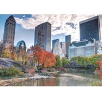 Puzzle 1000 el. PC Central Park / Nowy Jork