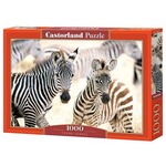 Puzzle 1000 Young Zebras CASTOR