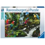 Puzzle 2000 elementów Papugi w dżungli