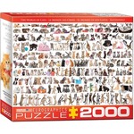 Puzzle 2000 The World of Cats 8220-0580