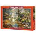 Puzzle 2000 Wspomnienie z jesiennego lasu CASTOR