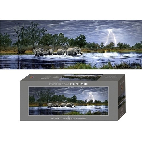 2000EL.Herd of Elephants,E.Humboldt HEYE 