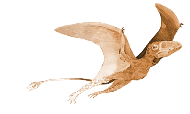 First Giants: Muzeum paleontologiczne