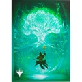 Gamegenic: Magic the Gathering - Secrets of Strixhaven - Premium Art Sleeves - Forest
