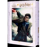 Harry Potter: Magiczne puzzle - Księga - Pojedynek Harry'ego (300 elementów)