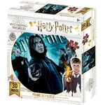 Harry Potter: Magiczne puzzle - Słudzy Voldemorta (300 elementów)