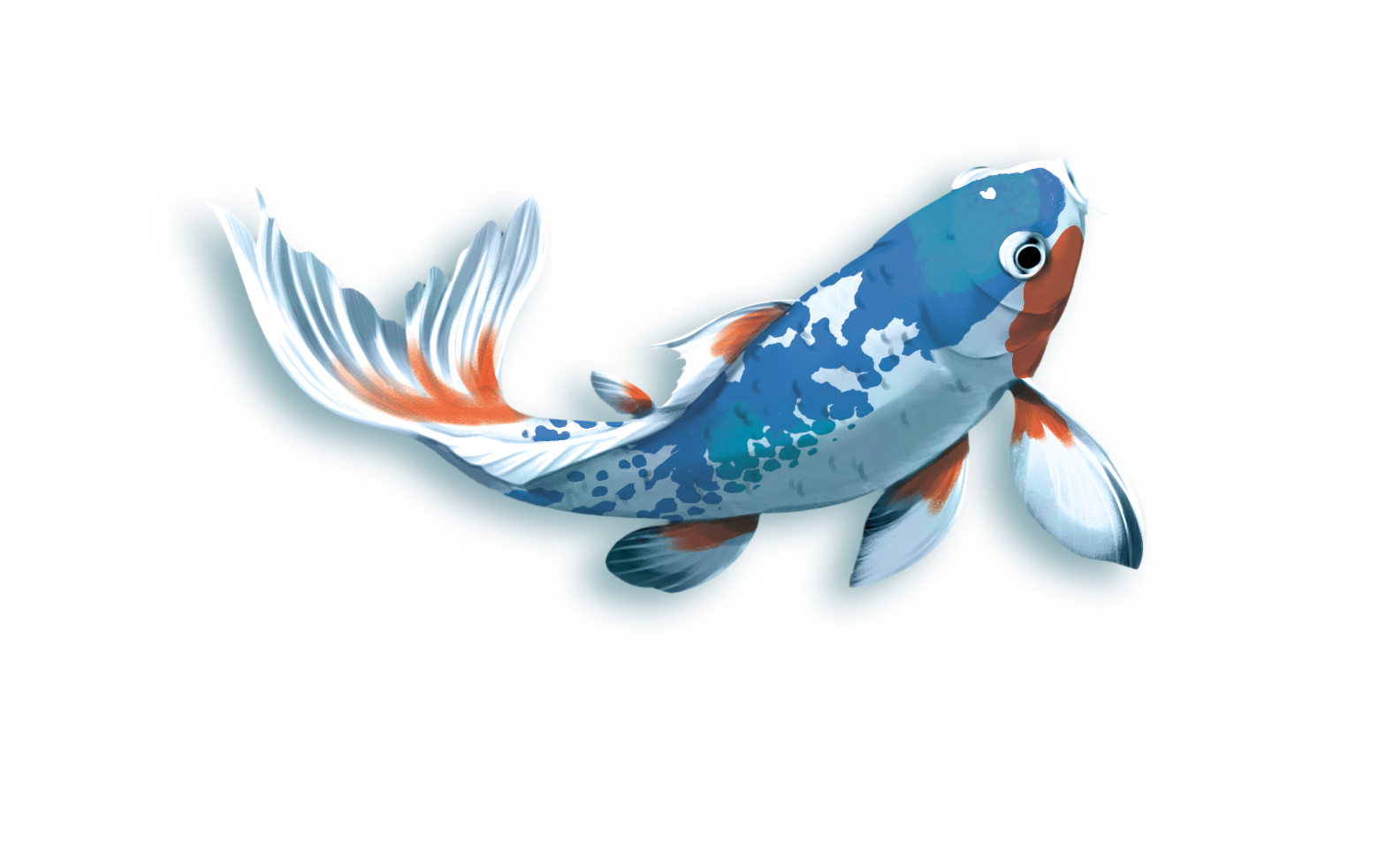 Koi (edycja polska)