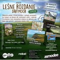 Leśne rozdanie: Dartmoor - Exmoor