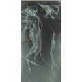 Nemesis: Retaliation - Artbook