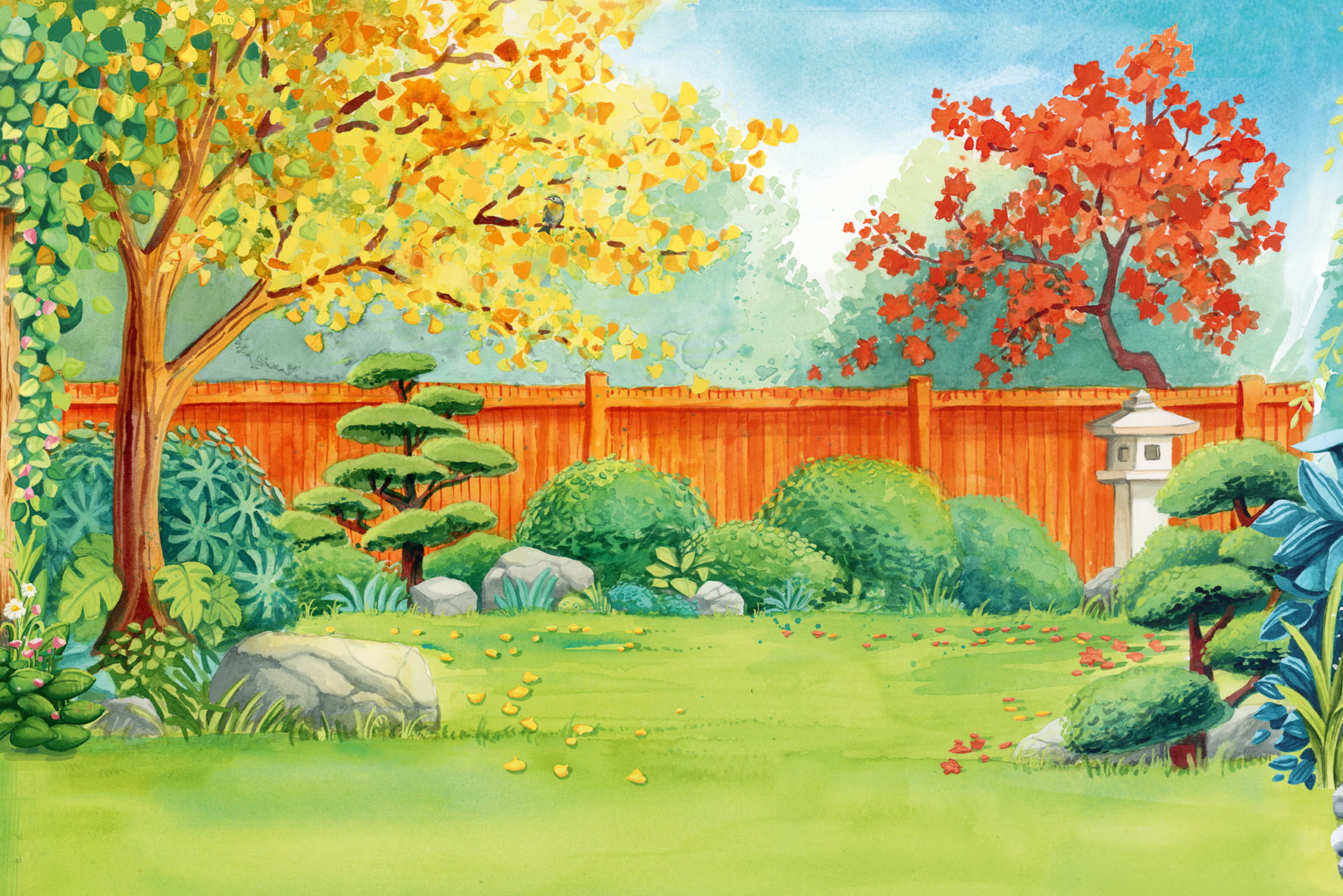Pergola (edycja angielska)