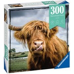 Puzle 300 elementów Momenty, Szkocka krowa