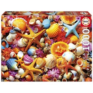 Puzzle 1000 el. Kolorowe muszelki
