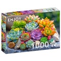 Puzzle 1000 el. Sukulenty