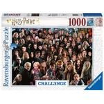 Puzzle 1000 elementów Challange Harry Potter