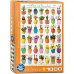 Puzzle 1000 Kaktusy i sukulenty