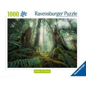 Puzzle 1000 Lasy