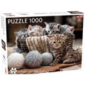 Puzzle 1000 Małe kotki