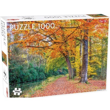 Puzzle 1000 Pathway by a canal