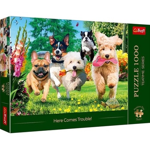 Puzzle 1000 Premium Plus Nadchodzą kłopoty 10800