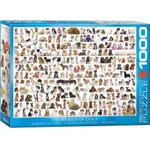 Puzzle 1000 Świat psów