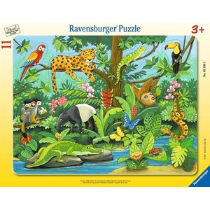 Puzzle 11 elementów Zwierzęta lasu deszczowego