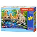 Puzzle 120 Koi Pond CASTOR