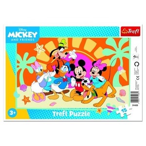 PUZZLE 15 Ramkowe Ciekawski MikI 31433