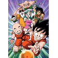 Puzzle 200 el. Dragon Ball