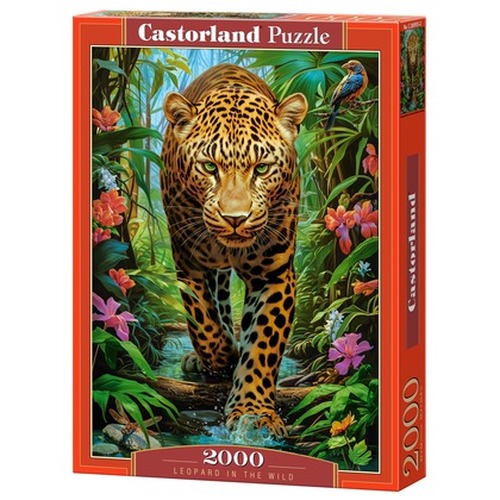 Puzzle 2000 Leopard in the Wild C-200955-2