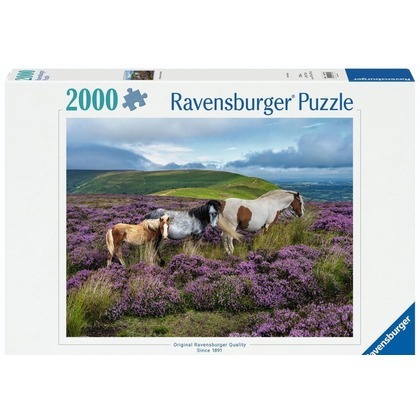 Puzzle 2000 Wild Horses in the Heather