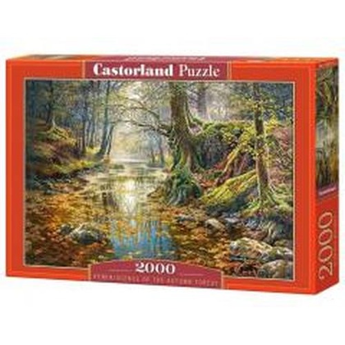 Puzzle 2000 Wspomnienie z jesiennego lasu CASTOR