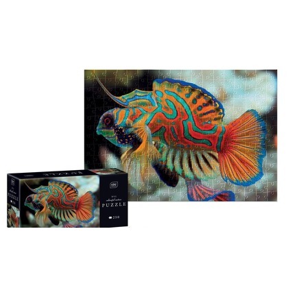 Puzzle 250 Colourful Nature 11 Mandarinfish