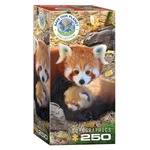 Puzzle 250 Red Pandas 8251-5557