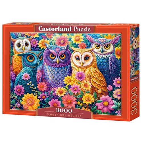 Puzzle 3000 Flower Owl Meeting C-300723-2