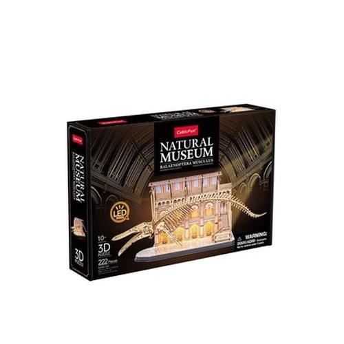 Puzzle 3D led natural museum Płetwal błękitny