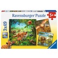 Puzzle 3x49 Animals of the Earth