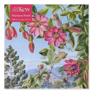 Puzzle 500 Widok w ogrodzie Brisbane Kew Marianne