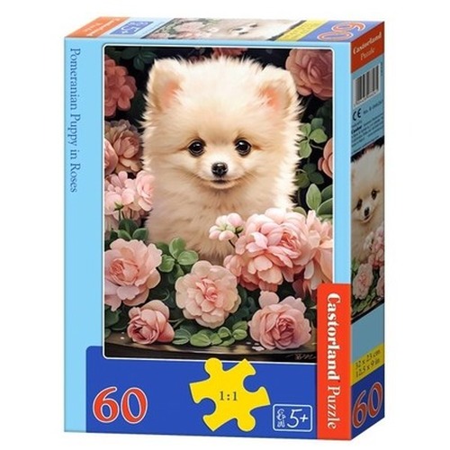 Puzzle 60 Pomeranian Puppy in Roses CASTOR