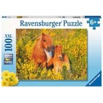 Puzzle XXL 100 Kucyki