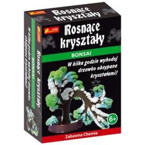 Rosnące kryształy. Bonsai