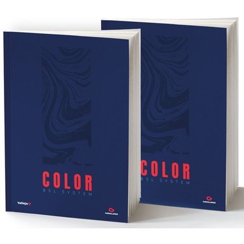 Vallejo: 75.091 - Book - Color BSL System